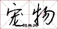宠物