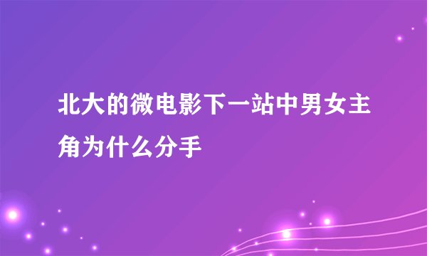 北大的微电影下一站中男女主角为什么分手