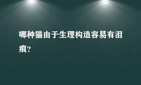 哪种猫由于生理构造容易有泪痕？