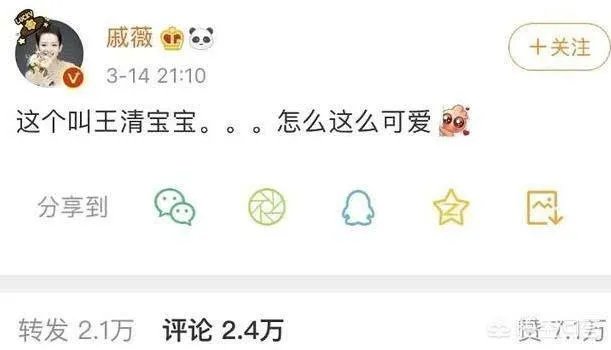 都有哪些明星在追青你2？