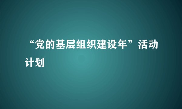 “党的基层组织建设年”活动计划