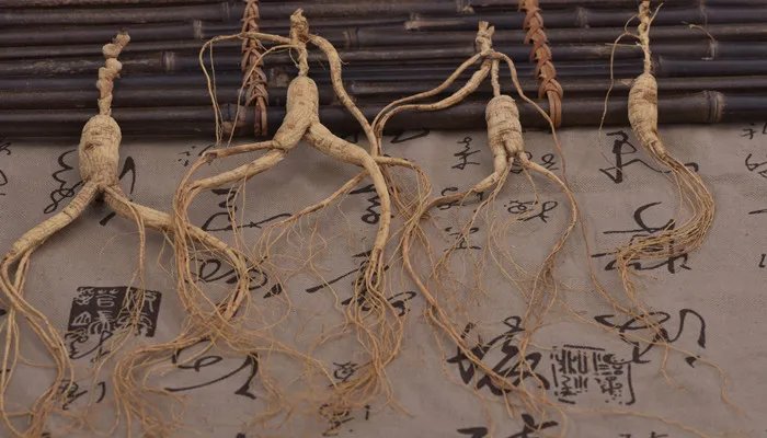 吉韩庄是哪个国家的品牌 吉韩庄是什么国家的品牌