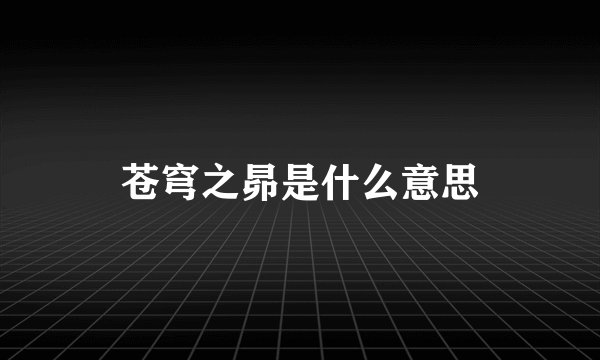 苍穹之昴是什么意思