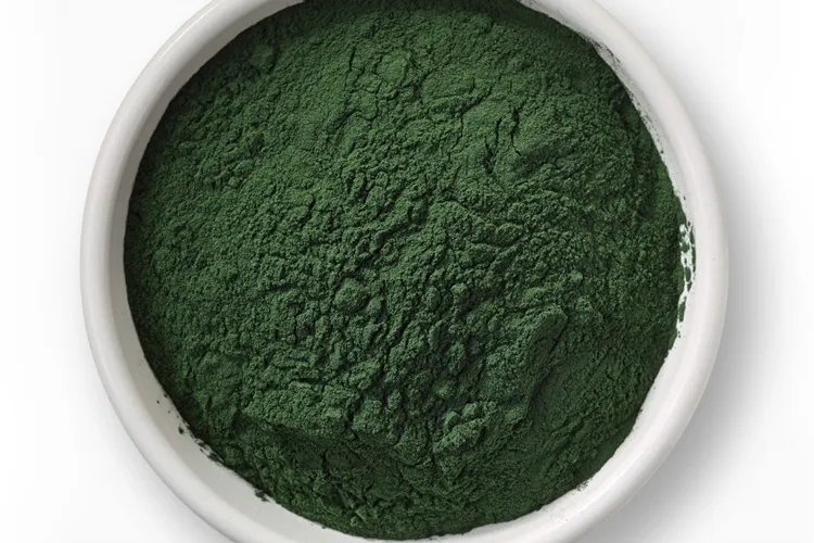 螺旋藻图片
