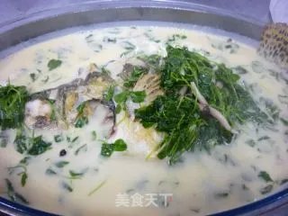 上汤秧草鳜鱼