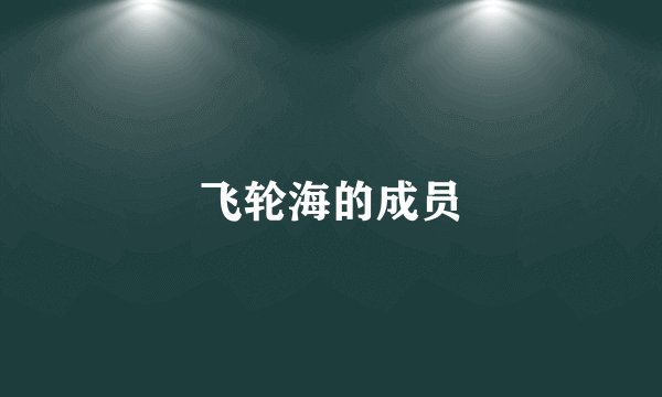 飞轮海的成员