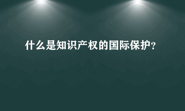什么是知识产权的国际保护？