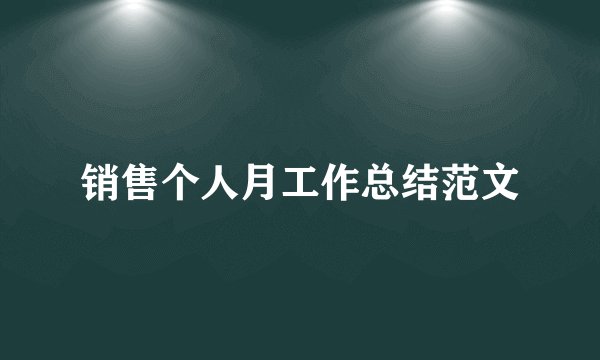 销售个人月工作总结范文