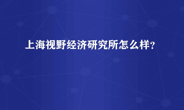 上海视野经济研究所怎么样？