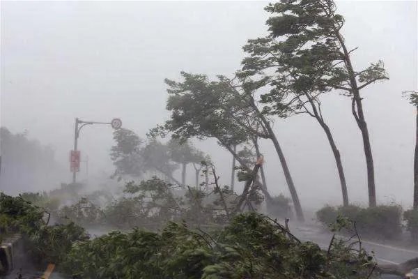 台风“纳沙”来袭!海南的螃蟹被“吹上”码头,此次台风的威力有多大?