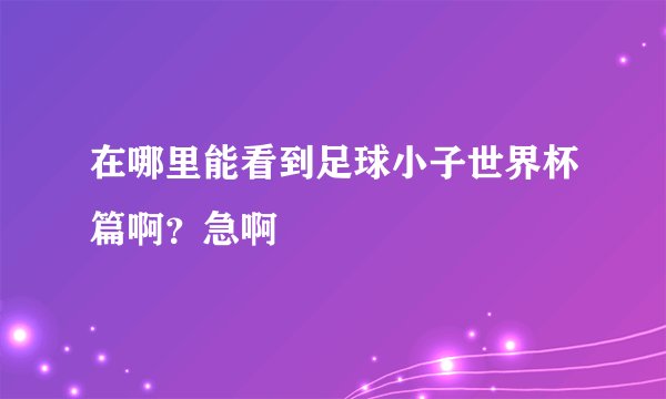 在哪里能看到足球小子世界杯篇啊？急啊