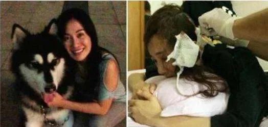 被狗毁掉星途的演员:李依晓没获得一句道歉,为何还要被骂整容脸?