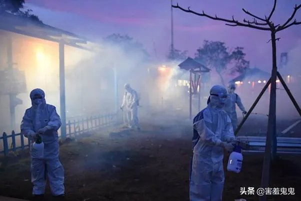 非洲新冠确诊和死亡病例出现较大增长,非洲要爆发了吗?如果爆发对世界抗疫有何影响?