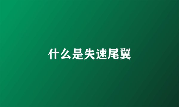 什么是失速尾翼