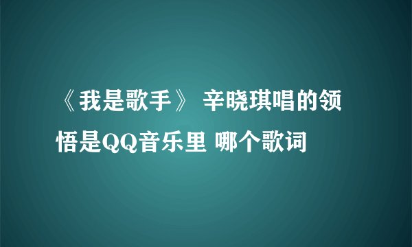 《我是歌手》 辛晓琪唱的领悟是QQ音乐里 哪个歌词