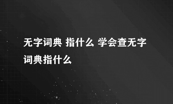 无字词典 指什么 学会查无字词典指什么