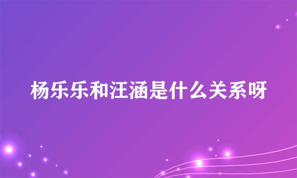 杨乐乐和汪涵是什么关系呀