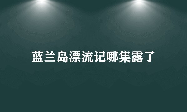 蓝兰岛漂流记哪集露了