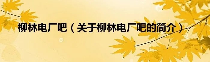 柳林电厂吧（关于柳林电厂吧的简介）