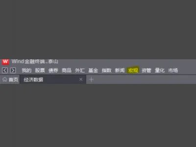 wind数据库怎么找数据