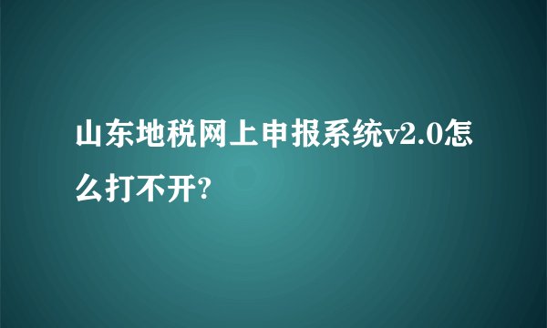 山东地税网上申报系统v2.0怎么打不开?