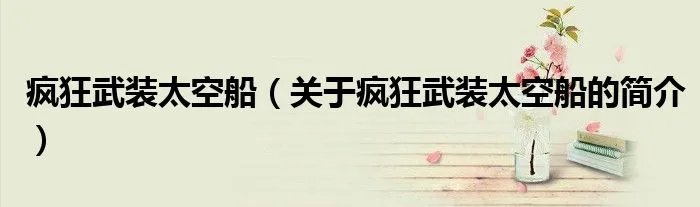 疯狂武装太空船（关于疯狂武装太空船的简介）