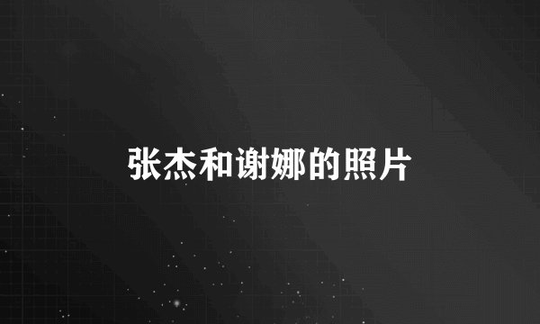 张杰和谢娜的照片