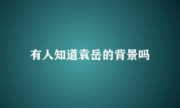 有人知道袁岳的背景吗