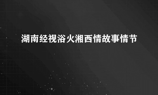 湖南经视浴火湘西情故事情节