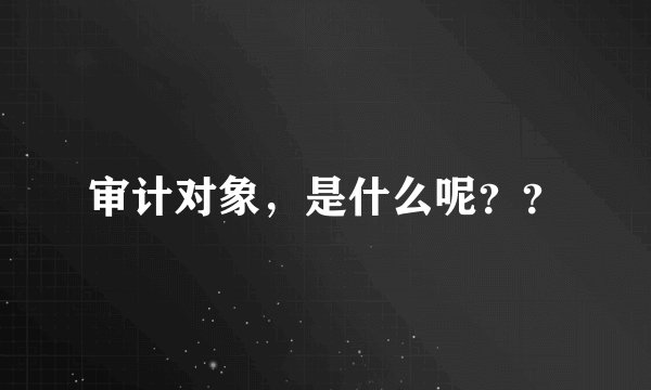 审计对象,是什么呢??