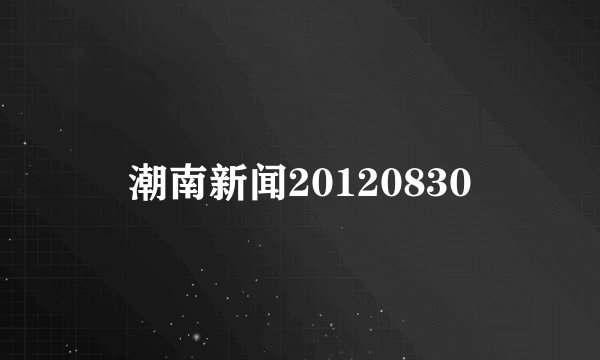 潮南新闻20120830