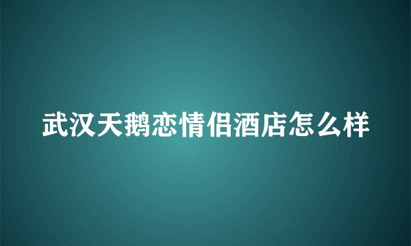 武汉天鹅恋情侣酒店怎么样