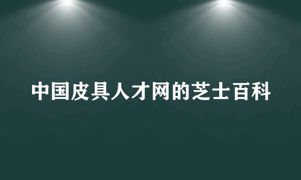 中国皮具人才网的芝士百科