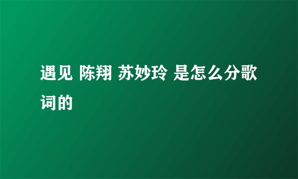 遇见 陈翔 苏妙玲 是怎么分歌词的