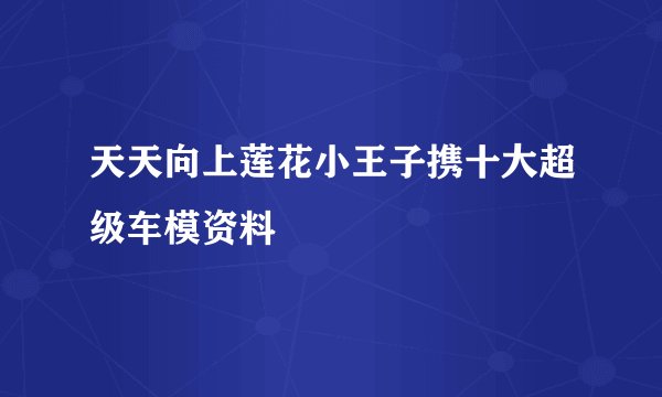 天天向上莲花小王子携十大超级车模资料