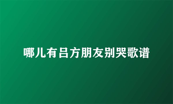 哪儿有吕方朋友别哭歌谱