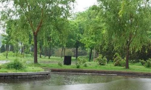 爱尔兰降雨不断禁播RainOnMe,这和降雨有何关联?