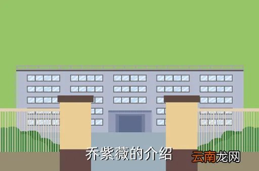 乔紫薇，乔紫薇的介绍
