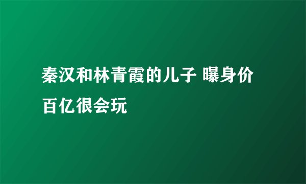 秦汉和林青霞的儿子 曝身价百亿很会玩