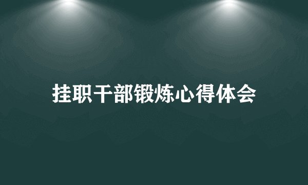 挂职干部锻炼心得体会