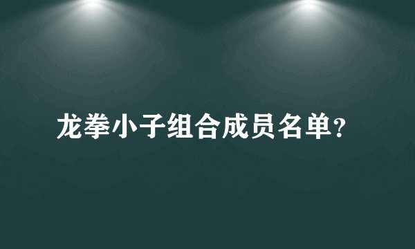 龙拳小子组合成员名单？