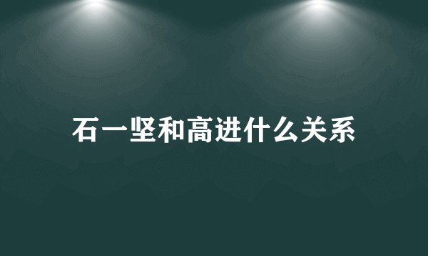 石一坚和高进什么关系