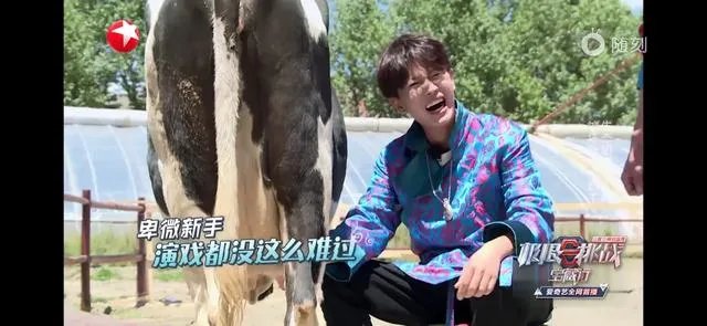 一生一世白鹿任嘉伦上映时间?
