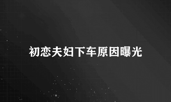 初恋夫妇下车原因曝光