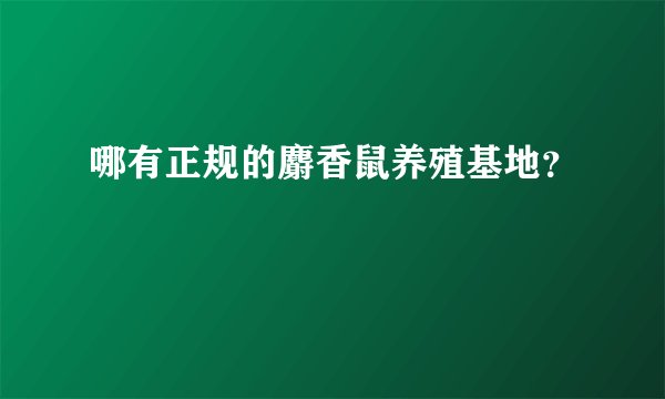 哪有正规的麝香鼠养殖基地？