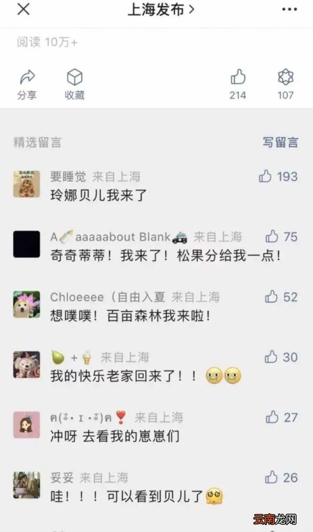 上海迪士尼门票今早恢复销售 上海进口博览会门票
