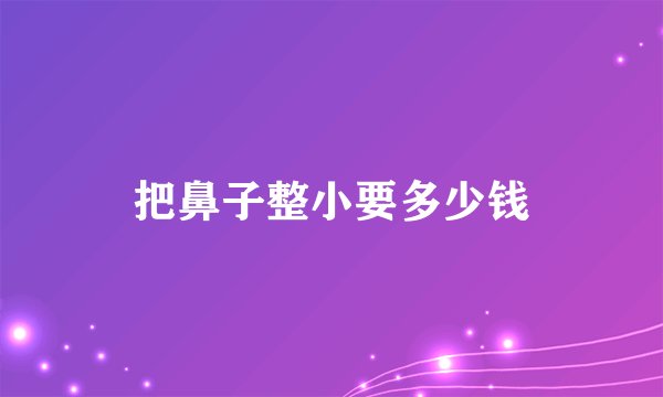 把鼻子整小要多少钱