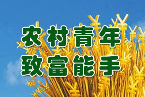 千万富翁回乡当村官是怎么回事?