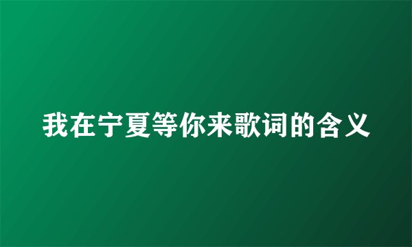 我在宁夏等你来歌词的含义