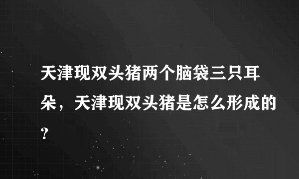天津现双头猪两个脑袋三只耳朵,天津现双头猪是怎么形成的?